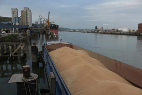 Зупинка морського експорту загрожує глобальній продовольчій безпеці, – Микола Сольський Рис.1