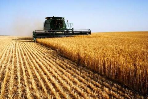 Аграрії Вінниччини намолотили 4 мільйони тонн зерна Рис.1