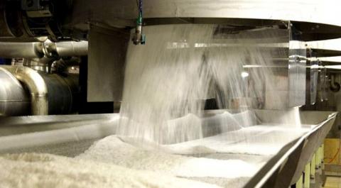 Астарта виробила 241 тис. тонн цукру Рис.1