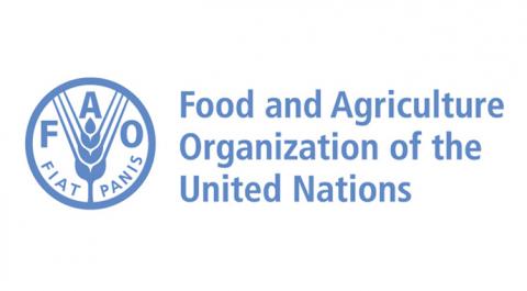 ФАО виділить українському агросектору $200 млн допомоги Рис.1