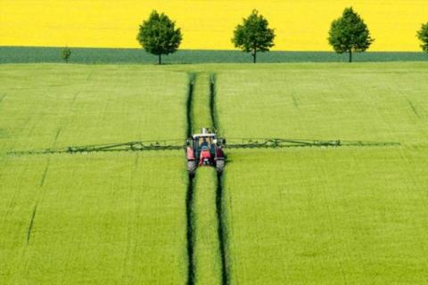Німецькі фермери сіють більше ріпаку, менше озимої пшениці під урожай 2023 року, - огляд іноземних ЗМІ за 21 грудня 2022 року Рис.1