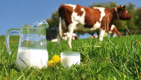 Переробники молока увійшли до списку критично важливих підприємств Рис.1