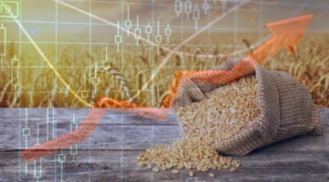 Сильні різдвяні морози у США призвели до спекулятивного зростання цін на пшеницю Рис.1