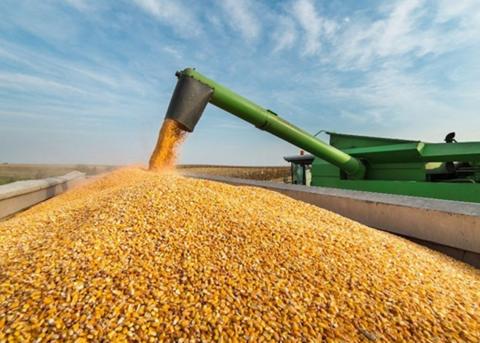Україна відправляє зерновим коридором рекордні обсяги продовольства Рис.1