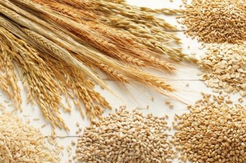 Уряд Індії планує вивантажити 1,5-2 млн тонн пшениці з FCI, щоб стримати ціни у 2023 році, - огляд іноземних ЗМІ за 27 грудня 2022 року Рис.1