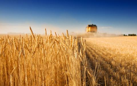 Урядовці підбили підсумки аграрного року в Україні Рис.1
