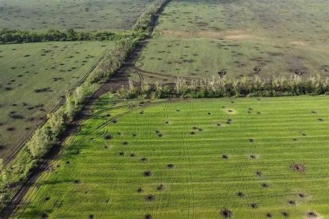 Втрати у сільському господарстві внаслідок війни перевищили $40 млрд Рис.1