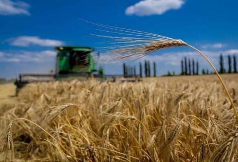 Жнива-2022: Аграрії Хмельниччини – лідери по врожайності зернових Рис.1