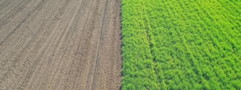 Міф про No-Till: майбутнє за регенеративним органічним сільським господарством Рис.1