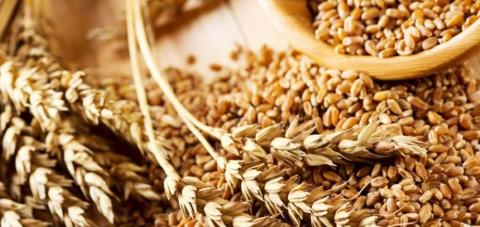USDA знову покращило прогноз експорту українського зерна Рис.1