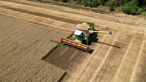 В Україні намолочено майже 51 млн тонн зерна Рис.1