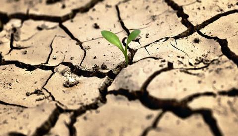 Війна та посуха спричинили «різке» зростання цін на сільськогосподарську продукцію ЄС у 2022 році, - огляд іноземних ЗМІ за 12-13.01.2023 Рис.1