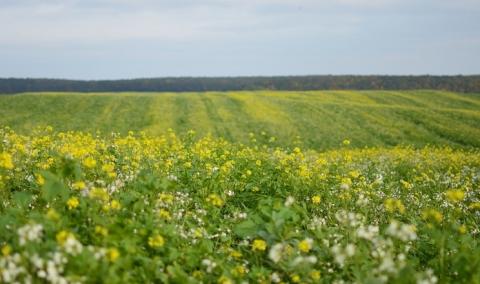 Great Plains та ForGround від Bayer спільно розвиватимуть регенеративне землеробство Рис.1