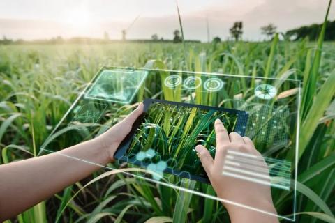 Saai запускає платформу ШІ для сімейних фермерських господарств Рис.1