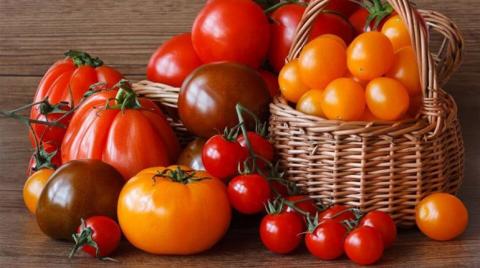 Заводи з переробки томатів у Миколаївській області відновлять свою роботу Рис.1