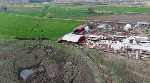 Землетрус у Туреччині: постраждалі регіони давали 15% агровиробництва Рис.1