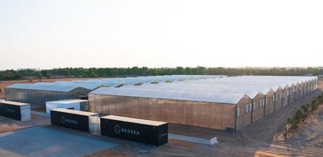 AgTech компанія тестує технологію даху теплиці iyris Рис.1