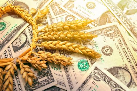 Ціни на європейську пшеницю за два тижні впали на 13%,а на американську також залишаються дуже низькими Рис.1
