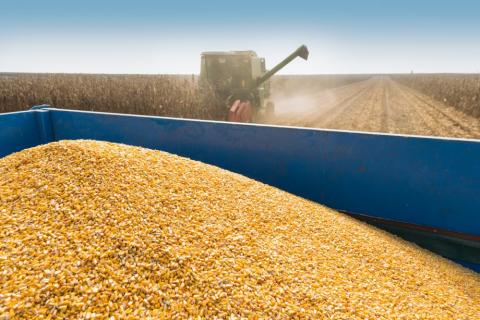 Експорт кукурудзи з Бразилії до Китаю стрімко падає, оскільки починається сезон поставок сої, - огляд іноземних ЗМІ 14-15.03.2023 Рис.1
