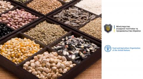 ФАО запрошує малих фермерів зареєструватися для отримання насіннєвого матеріалу Рис.1