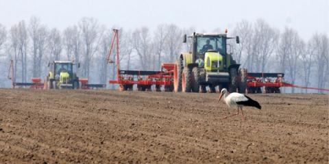 В Україні вже посіяно понад 16 тис. га зернових та зернобобових культур Рис.1
