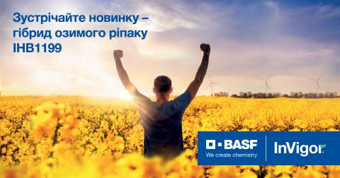 BASF виводить на ринок України новий середньоранній гібрид озимого ріпаку Рис.1