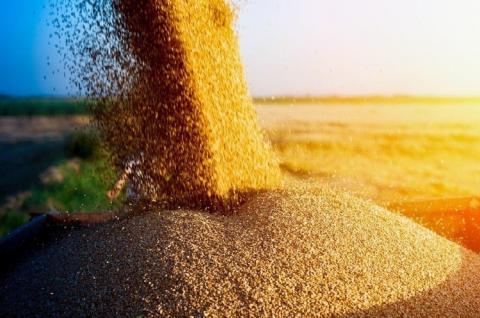 Експорт українського зерна у поточному сезоні сягнув 40 млн тонн Рис.1