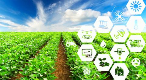 Компанія AgriLab надає безкоштовний агрономічний супровід для аграріїв Рис.1