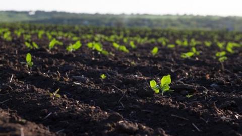 Молдавські аграрії, які інвестують у поліпшення ґрунтів, можуть отримати гранти Рис.1