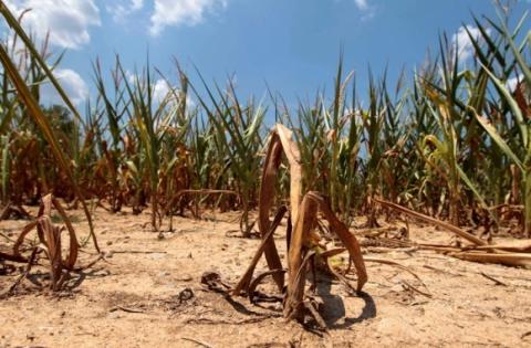 Найсильніша за останні 100 років посуха завдала значних збитків економіці Аргентини Рис.1