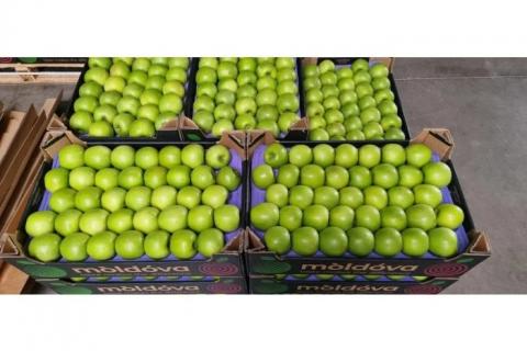 Новий напрямок експорту – Молдова починає поставки яблука до Швеції Рис.1