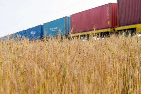 П'ять країн ЄС закликають Брюссель купити українське зерно, що накопичилося у них Рис.1
