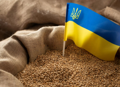 Румунія обіцяє не забороняти українське зерно і дочекатись рішення Єврокомісії Рис.1