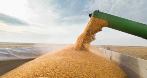 Угорщина розширила перелік забороненої для імпорту аграрної продукції з України Рис.1