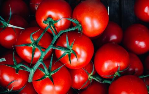 В Україні ціна на імпортні томати за тиждень злетіла в 1,5 раза Рис.1