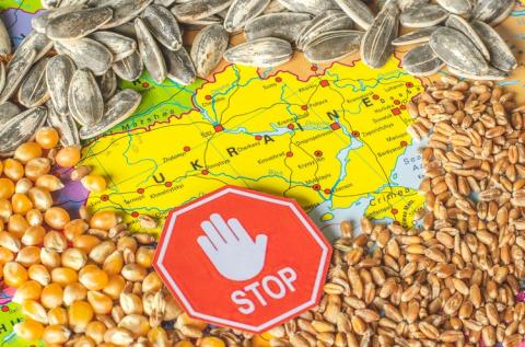Єврокомісія вважає неприпустимим одностороннє обмеження імпорту зерна країнами ЄС Рис.1