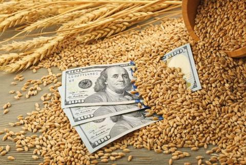 Ціни на пшеницю різко виросли на 3,9-6% після падіння до 2-річного мінімуму Рис.1
