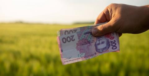 Данія надасть кредити українським агрокомпаніям Рис.1