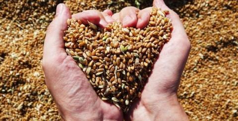 Експорт м’якої пшениці з ЄС 2022/23 зріс на 9%, – огляд міжнародних ЗМІ 02–03.05.2023 Рис.1