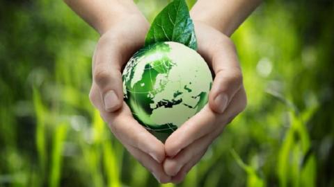 Світ відзначає Міжнародний день охорони здоров’я рослин Рис.1