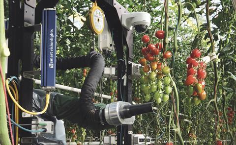 Syngenta оптимізує виробництво томатів Рис.1