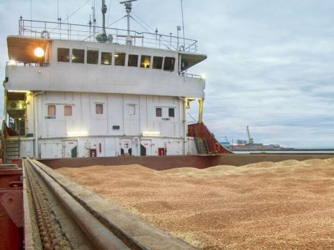 Уряд дозволив ОВА віддавати надлишкове зерно пшениці для гуманітарної програми «Grain from Ukraine» Рис.1