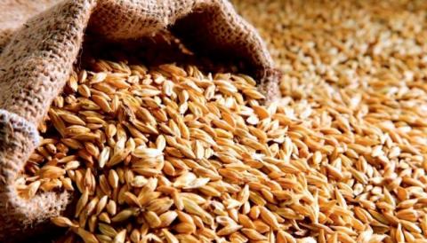 Єврокомісія підвищила прогнози виробництва пшениці та ріпаку у 2023/24 МР Рис.1