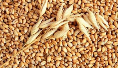 Запаси пшениці в США можуть впасти до 16-річного мінімуму, - огляд іноземних ЗМІ 23-24.05.2023 Рис.1