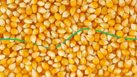 Ціни на кукурудзу залишаються під тиском завершення сівби й спеки у США та опадів в Бразилії Рис.1