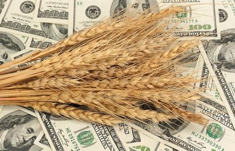 Ціни на пшеницю зростають на тлі зниження прогнозів урожаю в ЄС Рис.1