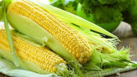 Ціни на сою та кукурудзу нового урожаю падають на тлі опадів у США Рис.1