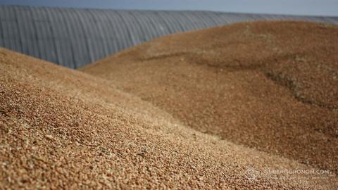ФАО прогнозує рекордні запаси зерна Рис.1