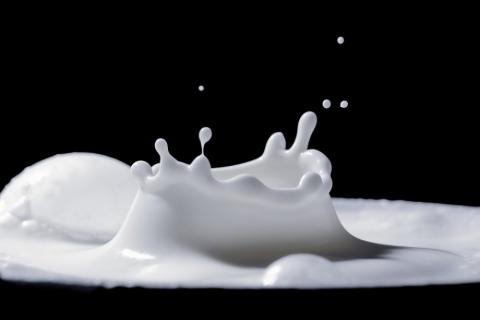 Очолюваний жінками стартап створив надпоживне веганське молоко з водоростей Рис.1