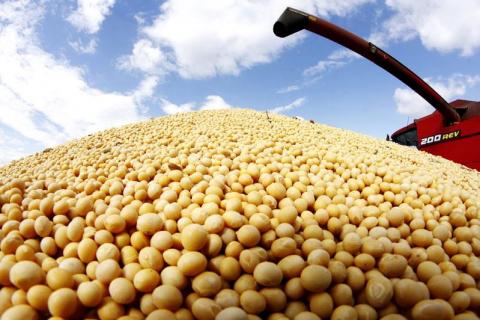 ЄС збере найбільший урожай сої за останні 6 років, - огляд іноземних ЗМІ 27-28.06.2023 Рис.1